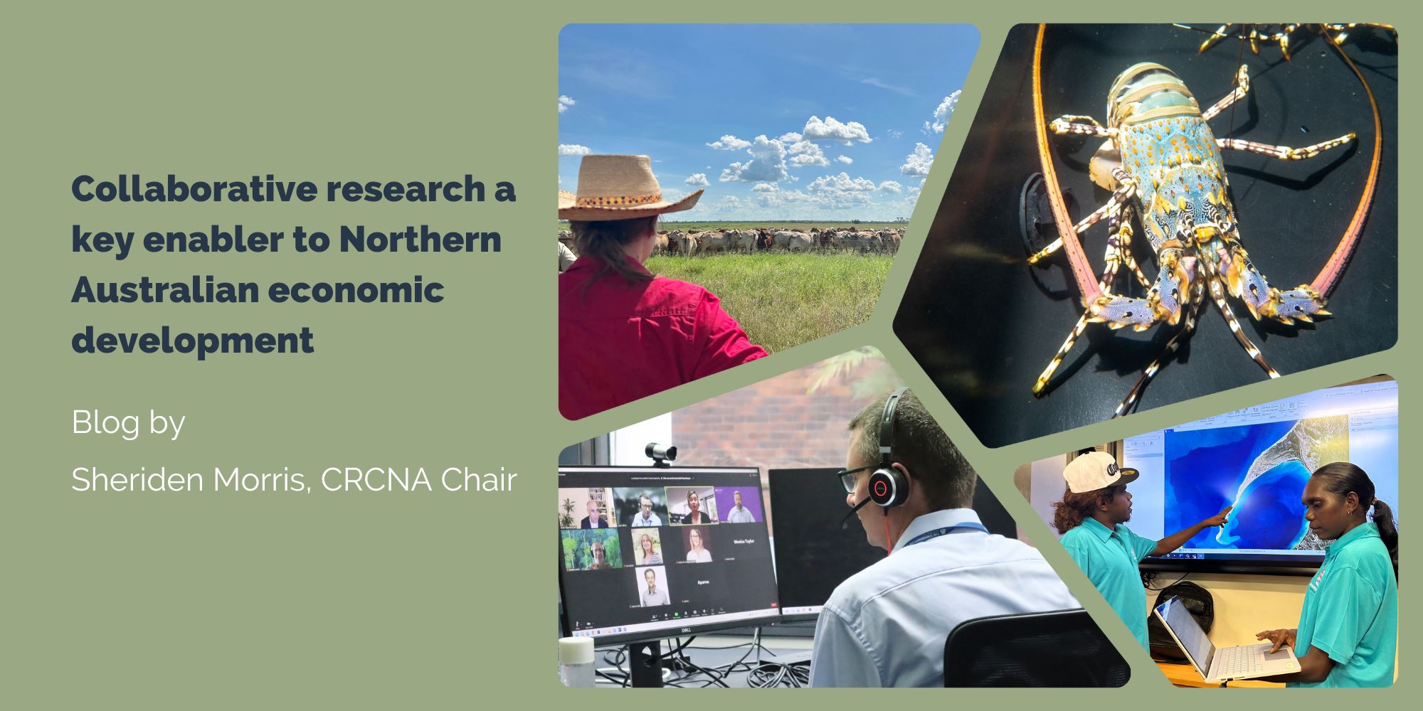 Collaborative research a key enabler to Northern Australian economic development