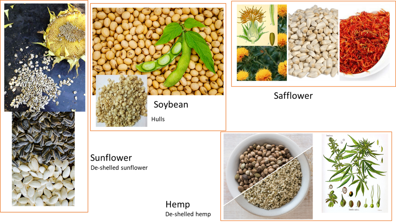 Potential crops to develop plant protein flours and oils and by-product examples